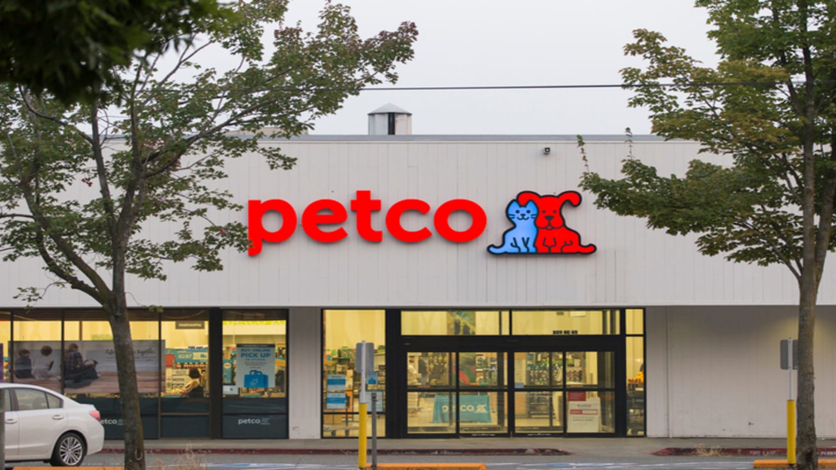 How to Invest in Petco IPO 2021
