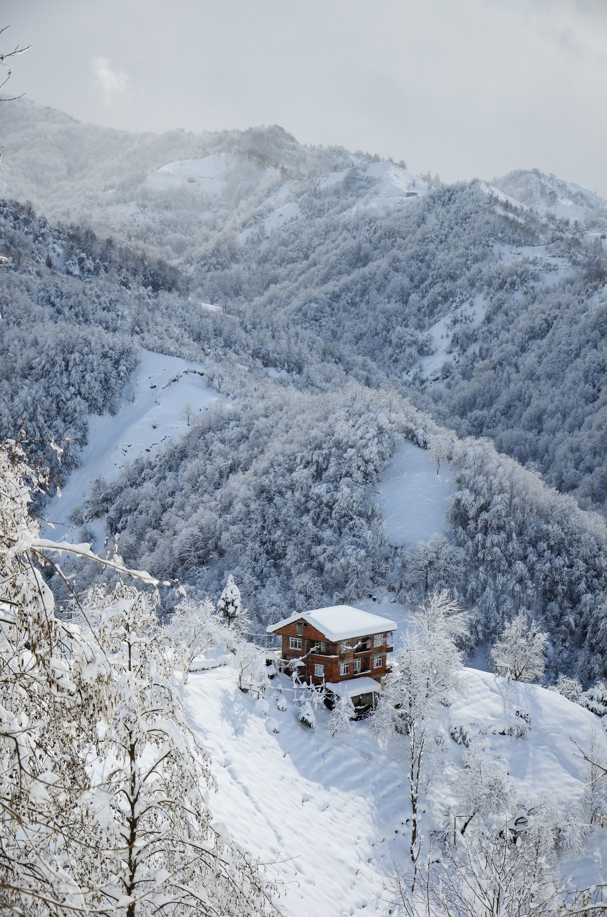 Airbnb Chalet