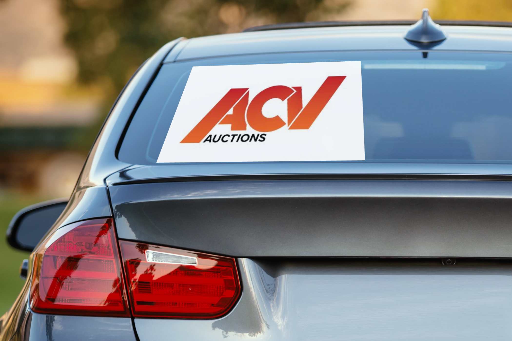 ACV Auctions Initial Public Offering