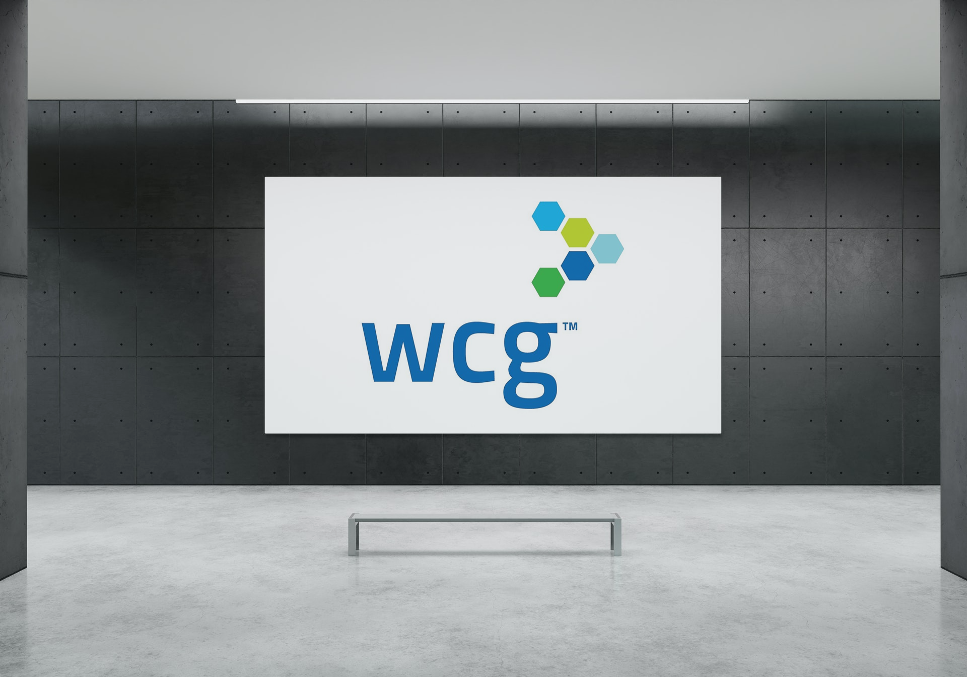 WCG Clinical Initial Public Offering