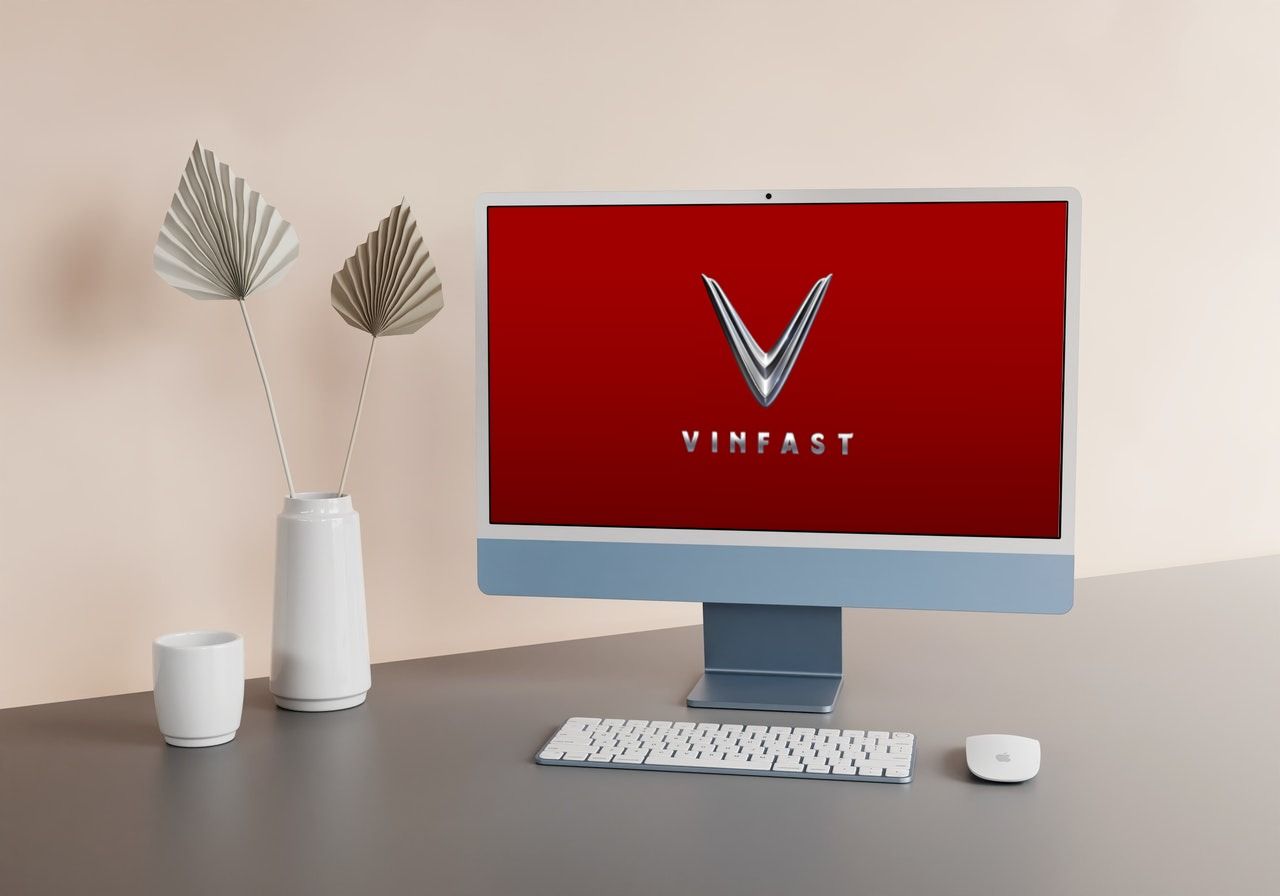VinFast Initial Public Offering (IPO)